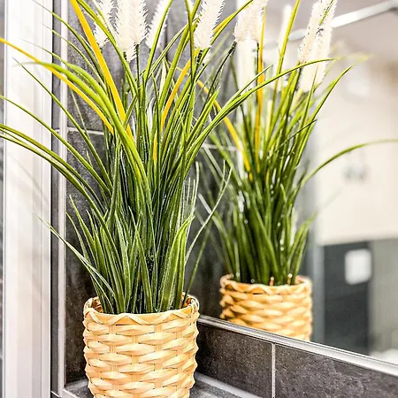 Baltischer Hof 24 Appartamento *